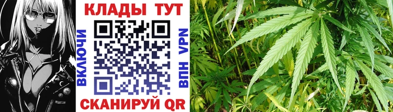 Как найти закладки Свирск Codein  МЕФ  МЕГА tor  ГАШ 