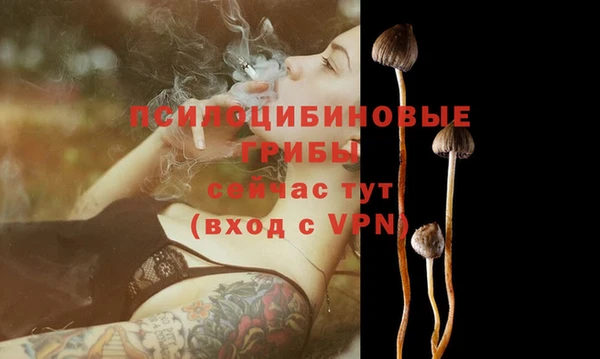 МДПВ Бердск