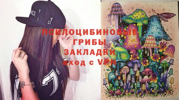 ешки Ельня