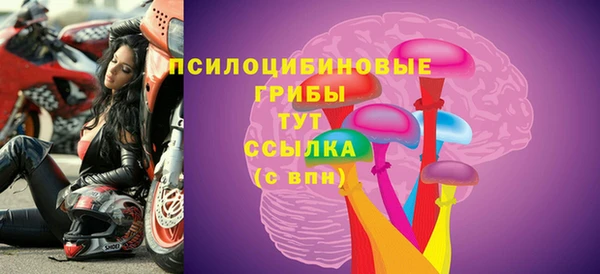 стафф Нягань