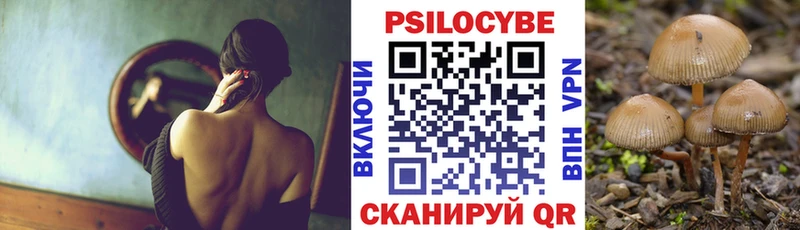 MEGA tor  Свирск  Галлюциногенные грибы прущие грибы 